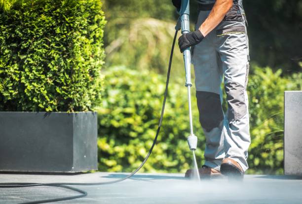 Boat and Dock Cleaning